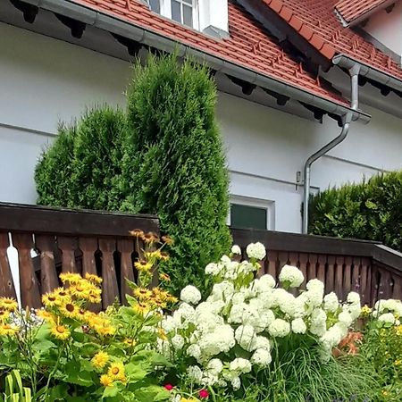 Wysokie Łąki domki w górach Kowary Exterior foto