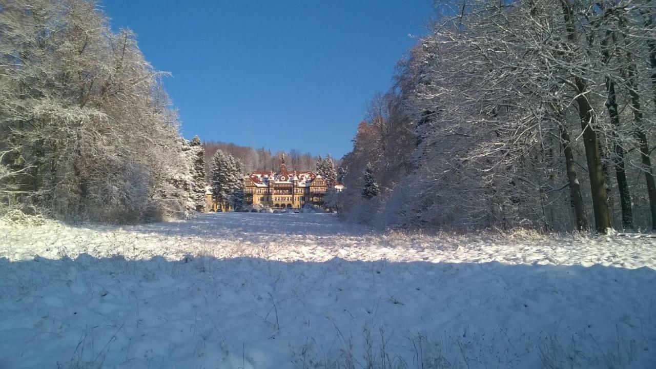 Wysokie Łąki domki w górach Kowary Exterior foto