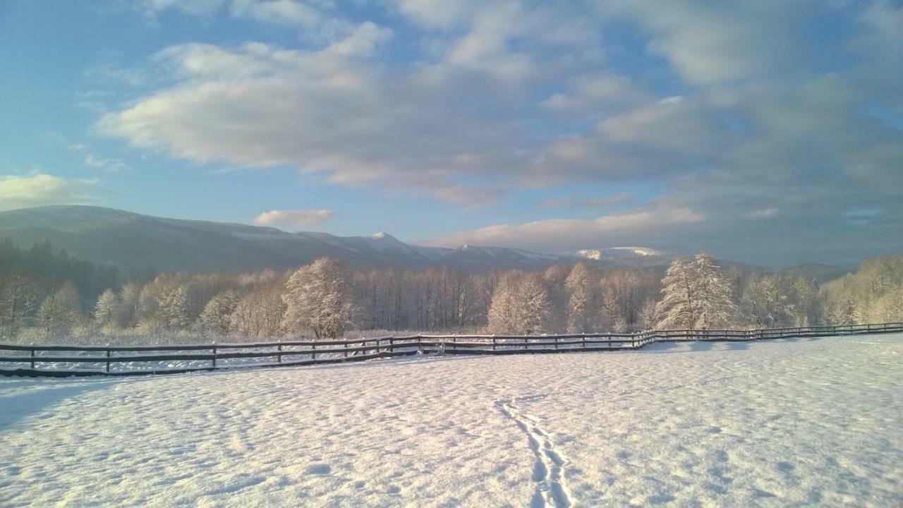 Wysokie Łąki domki w górach Kowary Exterior foto